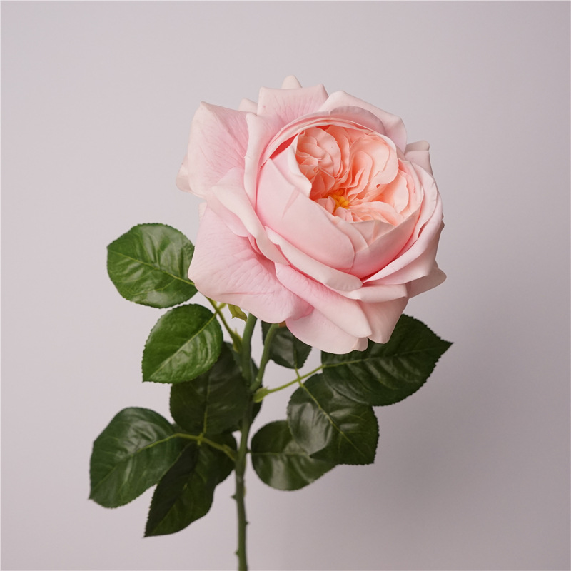 ดอกกุหลาบจำลอง 3 ดอก แบบจูเลีย - Photography Lighting Simulator Free บทวิจารณ์และราคา