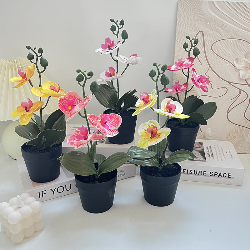 กระถางดินเผาสีดำสไตล์หรูหรา, ด - Photography Lighting Simulator Free บทวิจารณ์และราคา