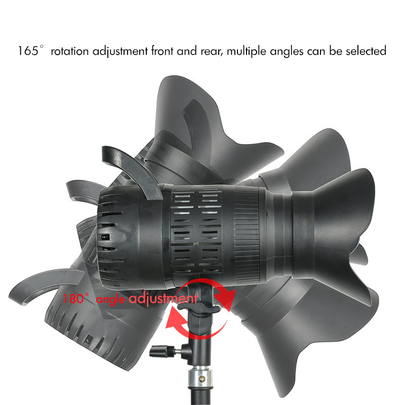 Spotlight LED 220V สตูดิโอวิดี - Portrait Photography With Lighting บทวิจารณ์และราคา