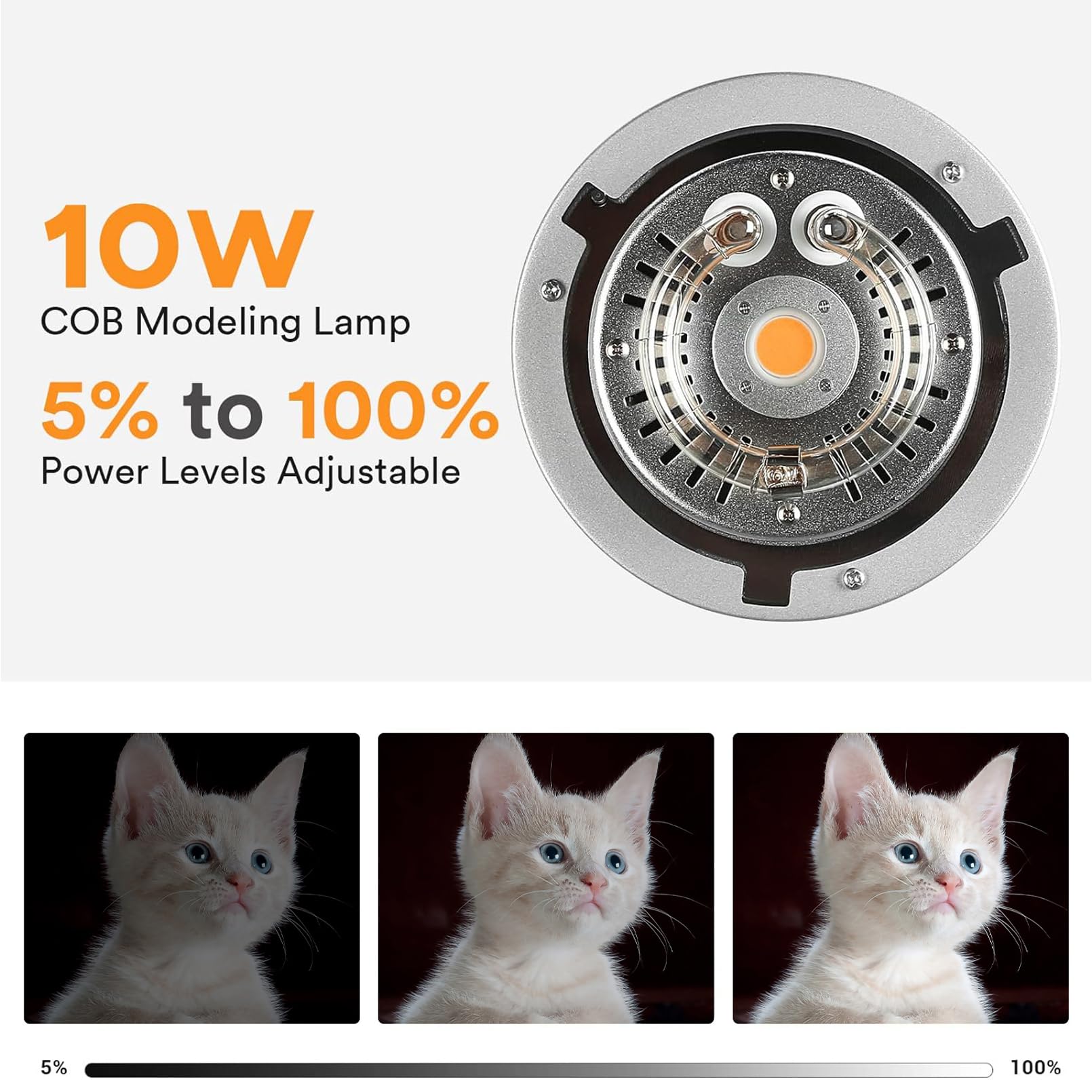 แฟลชสตูดิโอ Godox MS200V 200W  - Portrait Photography With Lighting บทวิจารณ์และราคา